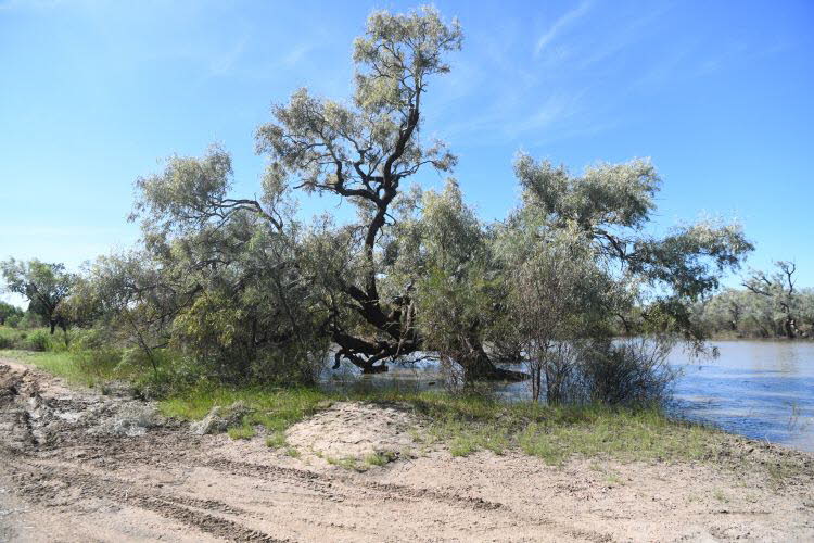 to Longreach 013 Small