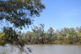 to Longreach 016 Small