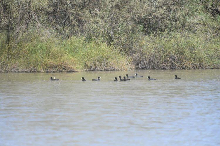 to Longreach 017 Small