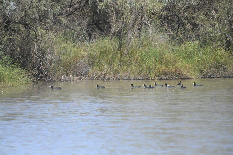 to Longreach 018 Small