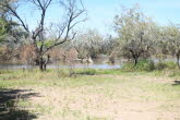 to Longreach 026 Small
