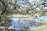 to Longreach 027 Small