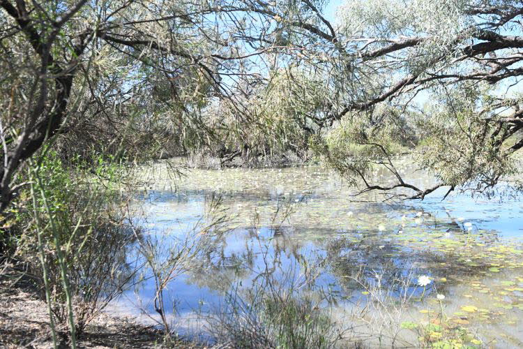 to Longreach 027 Small