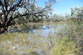 to Longreach 028 Small