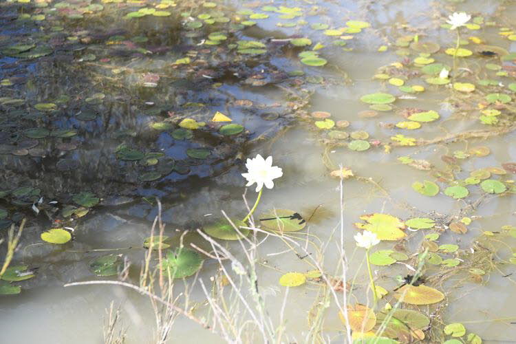to Longreach 031 Small