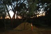 to Longreach 043 Small