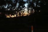 to Longreach 044 Small