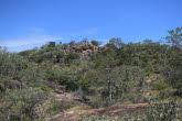 to Mount Suprise 015 Small