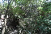 to Mount Suprise 021 Small