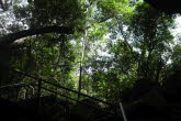 to Mount Suprise 070 Small