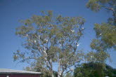 to Quilpie 011 Small