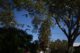 to Quilpie 012 Small
