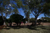 to Quilpie 013 Small