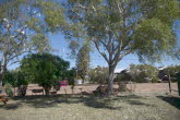 to Quilpie 014 Small