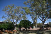 to Quilpie 016 Small