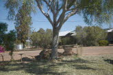 to Quilpie 020 Small