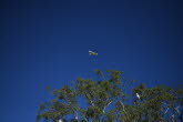 to Quilpie 021 Small