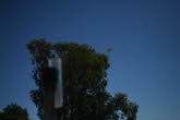 to Quilpie 025 Small