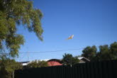 to Quilpie 027 Small