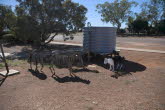 to Quilpie 032 Small