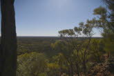 to Quilpie 040 Small