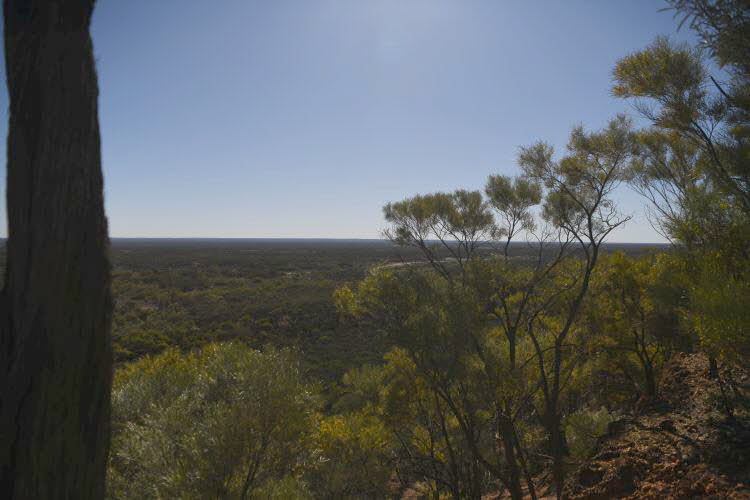to Quilpie 040 Small