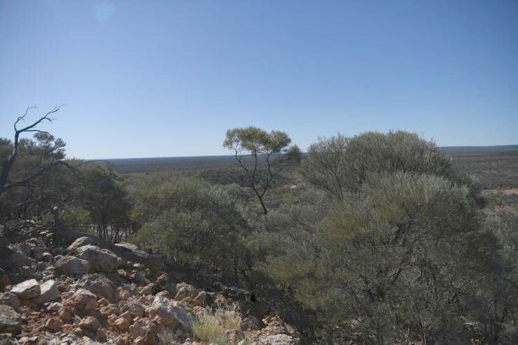 to Quilpie 043 Small