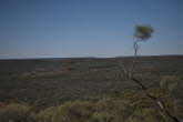 to Quilpie 044 Small