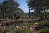 to Quilpie 045 Small