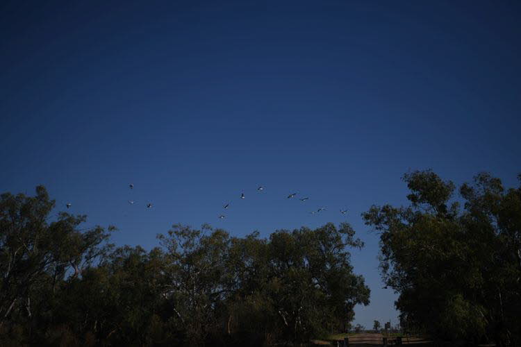 to Quilpie 064 Small