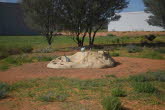 to Quilpie 097 Small