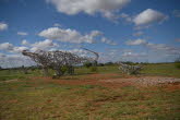 to Quilpie 103 Small