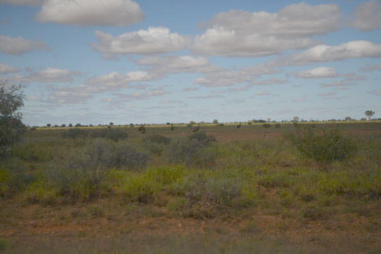 to Quilpie 109 Small