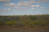 to Quilpie 111 Small