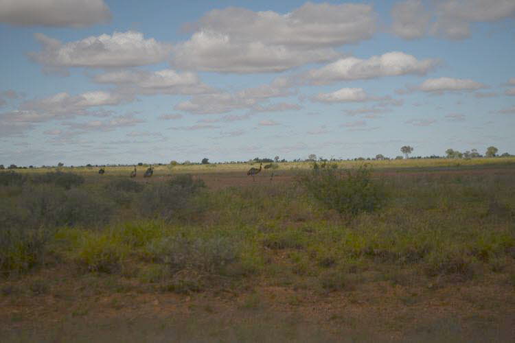 to Quilpie 111 Small