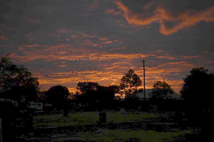 to Quilpie 118 Small