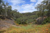 to Ravenshoe 030 Small