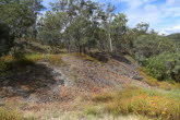 to Ravenshoe 031 Small
