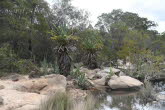 to Ravenshoe 048 Small