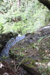 to Ravenshoe 064 Small