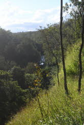 to Ravenshoe 100 Small