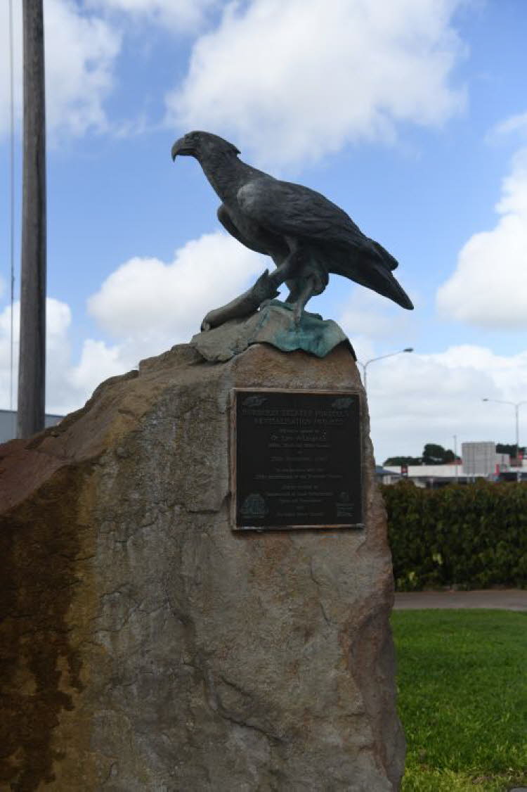 to Townsville 007 Small
