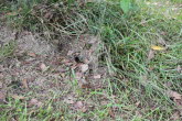 to Townsville 061 Small