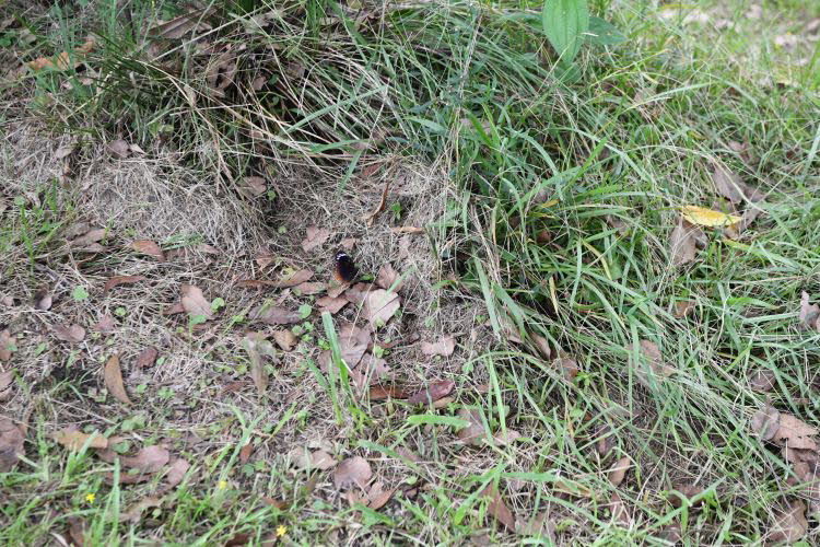 to Townsville 061 Small