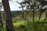 to Townsville 067 Small