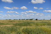 to Winton 007 Small