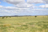 to Winton 009 Small