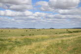 to Winton 010 Small