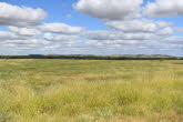 to Winton 013 Small