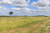 to Winton 014 Small